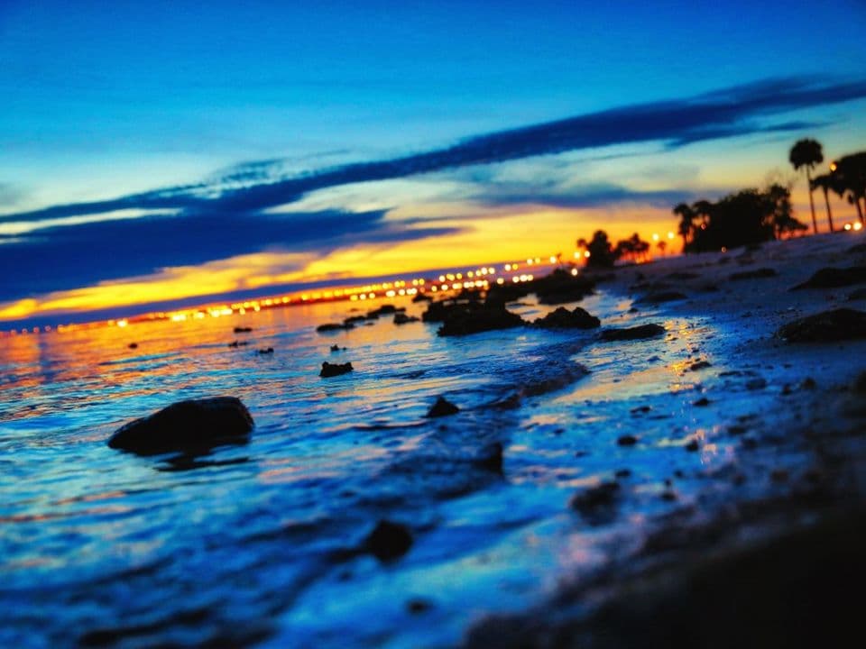 Uma orla com coqueiros ao pôr do sol